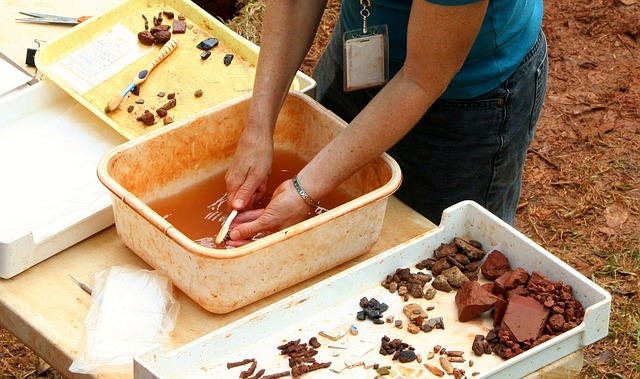 Young Archaeologist