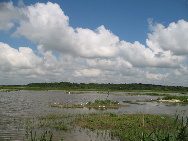 HLF Funding for RSPB Minsmere