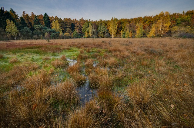 Rushden Lakes gets lottery money for nature reserve