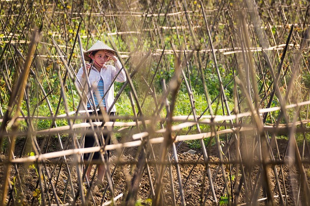 From Farmer to Millionaire in Vietnam