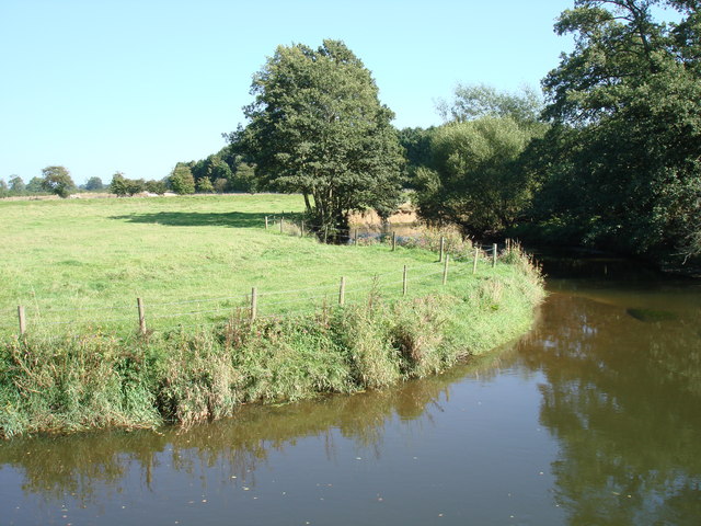 Yorkshire Ryevitalise Programme