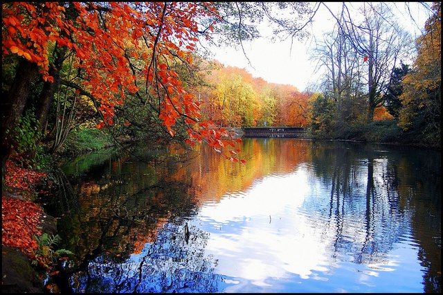 Gledhow Valley Woods Restoration just received £50k