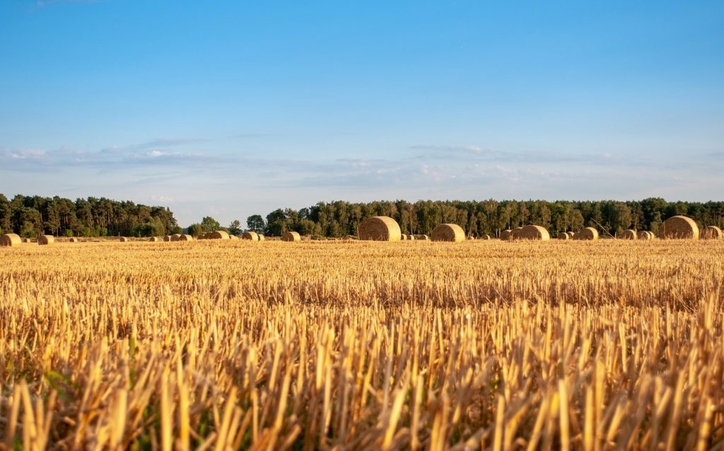 lottery winning retired farmer to enjoy life