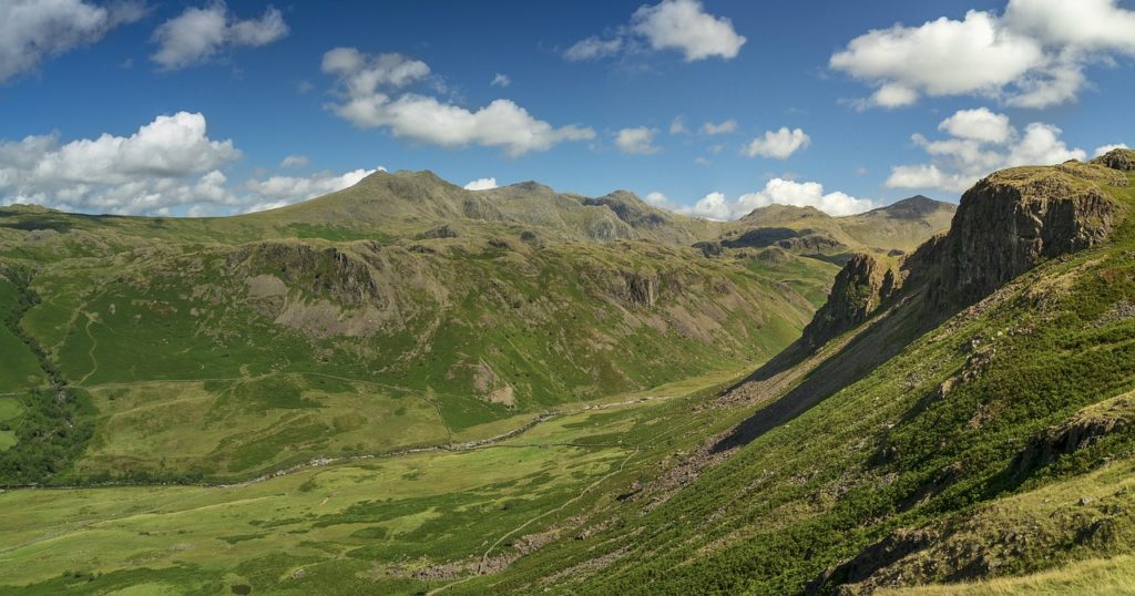 Cumbria to benefit from a new grant for UK Most At Risk Species