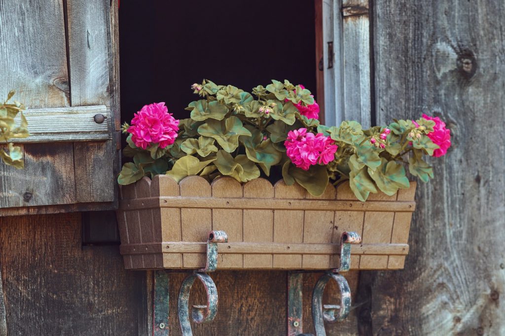 Planters For Key Workers - local lottery winner