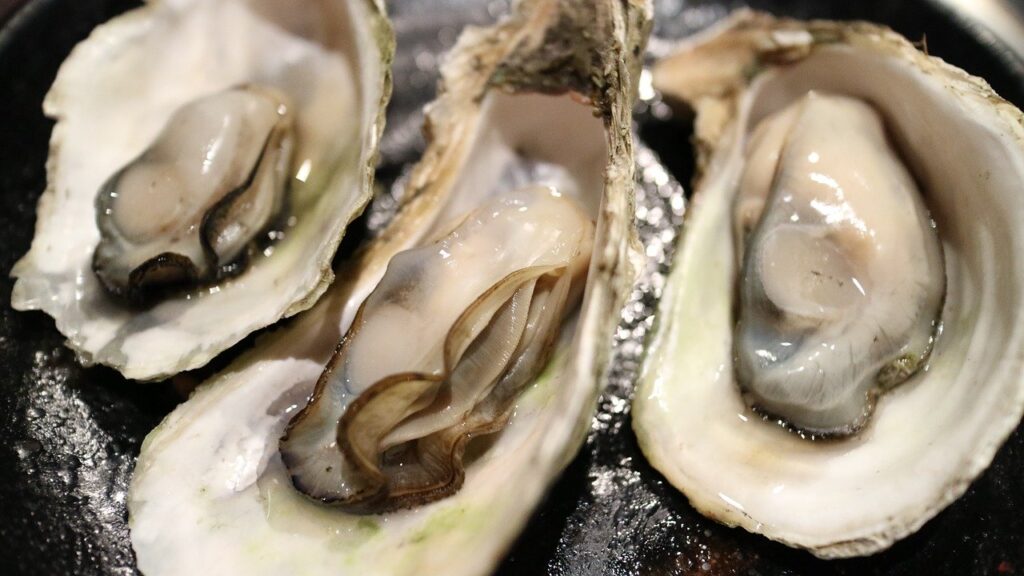 People's Postcode Lottery Oyster Restoration Project in select parts of the UK