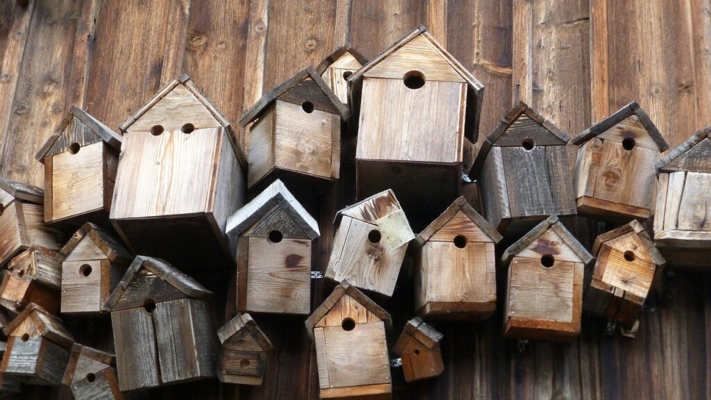 Beberapa pemenang lotere Hants berkumpul untuk membangun kotak sarang burung komunitas