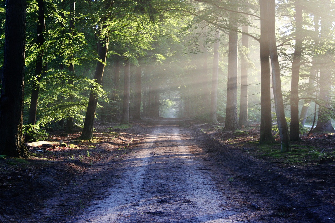Trees for Life Scheme receives cash boost